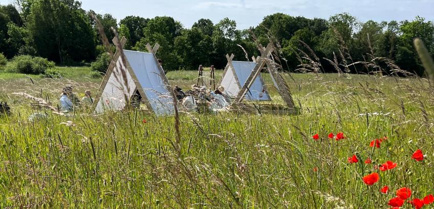 tre vikingetelte på en eng