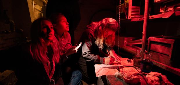 Forløb til udskolingen