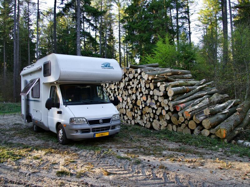 autocamper i skov