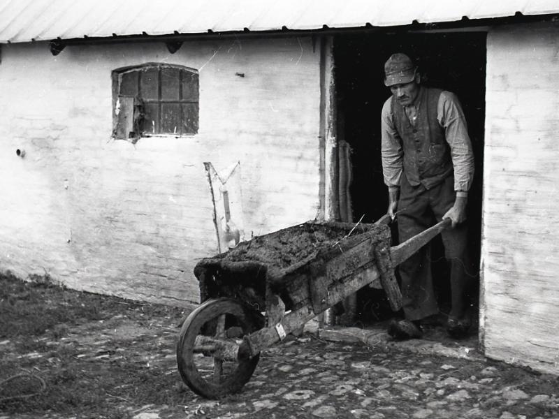 Bonde fra starten af 1900-tallet kører en trillebør